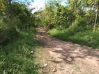 Land for Sale Near Mallawapitiya Town (Kurunegala - Kandy Road)