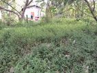 Land for Sale Near Mallawapitiya Town (Kurunegala - Kandy Road)