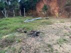 Land for Sale Near Mawathagama Town