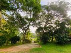 Land for Sale Near Mirissa, Weligama