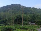 Land for Sale near Namunukula Mountain in Ella