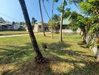 Land for sale near Panadura town