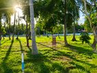 Land for Sale Near Pannala Mallawagedara - H 05