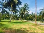 Land for sale near Pannipitiya