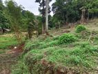 Land for Sale Near Peradeniya