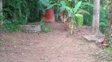 Land for Sale Near Pilimathalawa