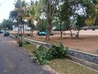 Land For Sale Near පන්නිපිටිය
