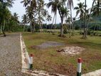 Land for Sale Near Pokunuwita