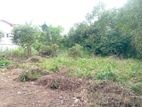 Land for Sale Hingurakgoda