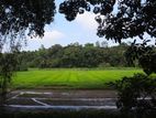 Land for Sale Near Ragama - Batuwatta