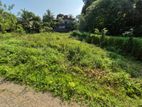 Land for sale near Ragama town.