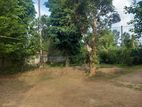 Land for Sale Near Rambukkana Town