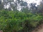 Land for Sale Near Bandarawela Town