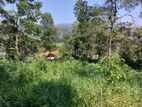Land for Sale Near Bandarawela Town