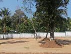 Land for Sale Near the Kandy Road