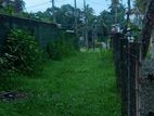 Land for Sale Near the Kelaniya