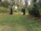 Land for Sale Near the New Kandy Road
