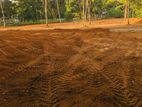 Land for Sale Near the Seaduwa Road in Udugampala