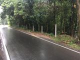 Land for Sale Near Thennekubura, Kandy