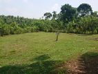 Land for Sale Near to Dharga Town