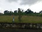 Land for Sale Near to Horana Town