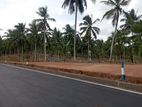 Land for sale near to kiriwaththuduwa