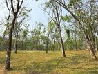 Land for sale near to Moragahena
