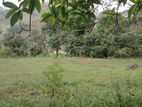 Land for Sale Badulla