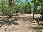 Land for Sale Near Weeraketiya Road – Ready Development