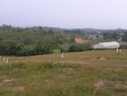 Land for Sale Near Welipenna Highway Entrance