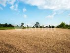 Land for Sale Near Wellawaya town