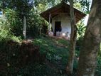 Land for Sale Near Yudaganawa Rajamaha Viharaya Buttala