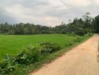 Land for Sale in Horana