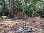 Land for Sale Neelammahara Road Sakthi Mawatha Katuwawala Boralesgamuwa