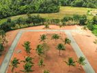 Land for Sale- Negambo