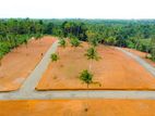 Land for Sale - Negambo