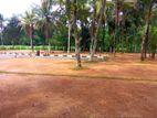 Land for Sale - Negombo