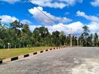 Land for sale negombo....