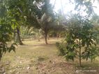 Land For Sale Negombo