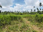 Land for Sale -Negombo