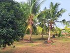Land for Sale Negombo Katunayake Area