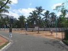 Land for Sale Negombo Kochchikade