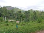 Land for Sale Nelundeniya