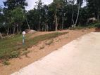 Land for Sale Nelundeniya