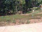 Land for Sale Nelundeniya