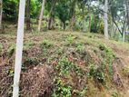 LAND FOR SALE NELUNDENIYA