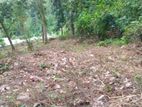 Land for Sale Nelundeniya