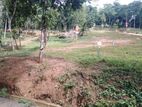 Land for Sale Nelundeniya