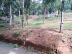 Land For Sale Nelundeniya
