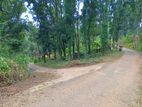 Land for Sale Nelundeniya